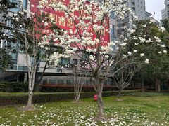 -上海电影博物馆