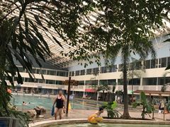 -龙脉温泉室内游泳馆