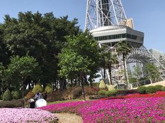 -文华公园(禅城区)