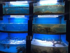 水产区-董大蒸货(方塔园店)