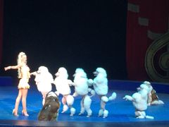 -珠海横琴长隆《卡卡虎奇遇记》