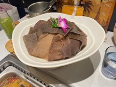 -巴奴毛肚火锅(九洲店)