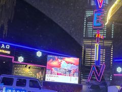 -枫花园汽车电影院(朝阳公园店)