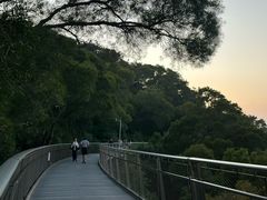 -仙岳公园