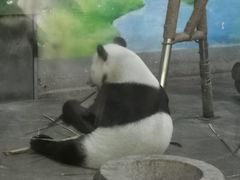 -柳州市动物园