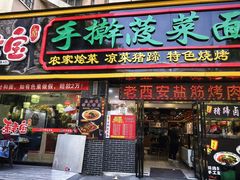 -秦君宝手擀菠菜面(金花路店)