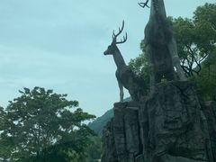 -长沙黑麋峰国家森林公园