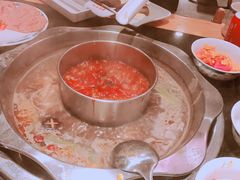 -董家湾重庆老火锅(嘉华店)