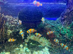 -沈阳海洋探索中心