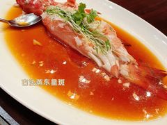 古法豉油蒸东星斑-御宝轩(益丰·外滩源店)