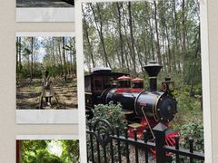 -合肥滨湖国家森林公园