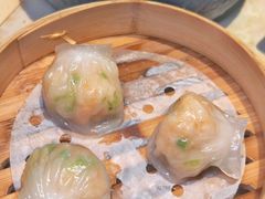 -点都德·毕德寮