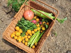 -SONGUOLIFE松果咖啡(七莘路店)