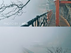 -张家界天门山国家森林公园