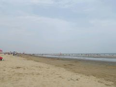 -日照海滨国家森林公园
