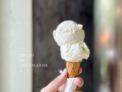 -Dip in Gelato(富民路店)