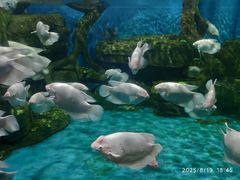 -石林冰雪海洋世界