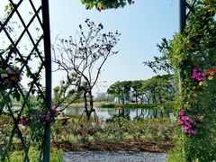 -上海植物园-4号门售票处