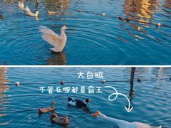-黄兴公园