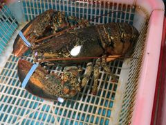 -拉完海鲜大排档(温岭店)