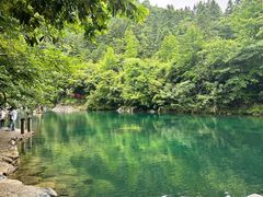 -石台牯牛降景区