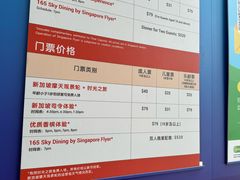 -新加坡摩天观景轮