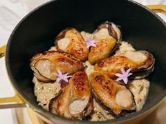 -Oyster Talks 四度蚝法餐厅