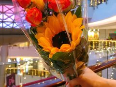 -循礼门鲜花花市(武汉循礼门店)