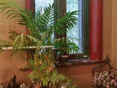 -莱蔻·圣灸堂·推拿艾灸(天山店)