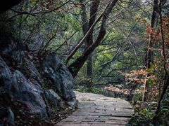 -九曜山