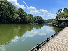 -千岛湖东南湖区