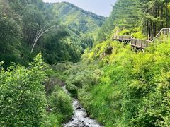 -苏木山森林公园