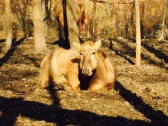 iphone_upload_pic-溱湖国家湿地公园