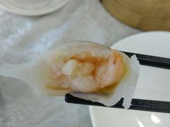 虾饺-渔民新村(番禺总店)