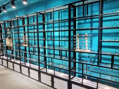-Trend1881视光·蔡司视觉(领展广场店)