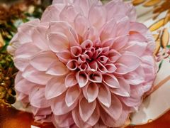 -BEAST野兽派(上海浦东嘉里城店)