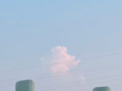 -露露家咖啡店