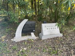 -上海吴淞炮台湾国家湿地公园