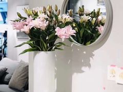 -阿姨来了月嫂服务中心(徐汇店)