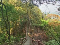-缙云山景区