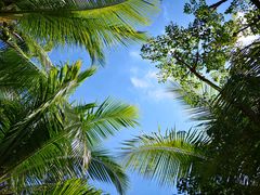 -三亚珠江南田温泉度假区