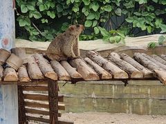 -泉州海丝野生动物世界
