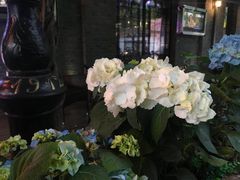 -猫头婴小酒馆FUN OWL(1912店)