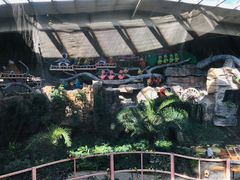 -南宫五洲植物乐园