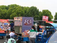 -滆湖低碳生态公园