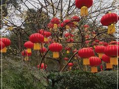-峨眉山报国寺