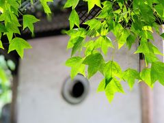 -古隆中景区