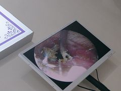 -溥耳·可视采耳·头疗·沐眼