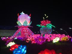 -映月湖公园