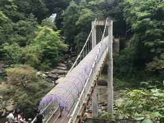 -黎坪国家森林公园